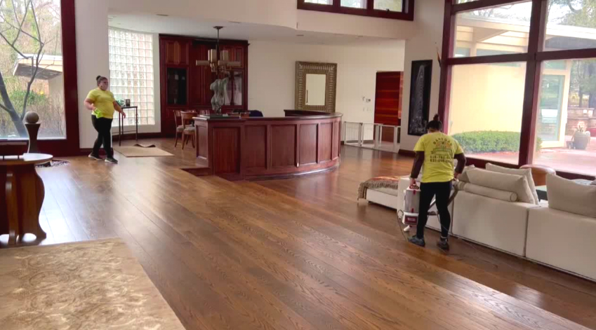 House Cleaner